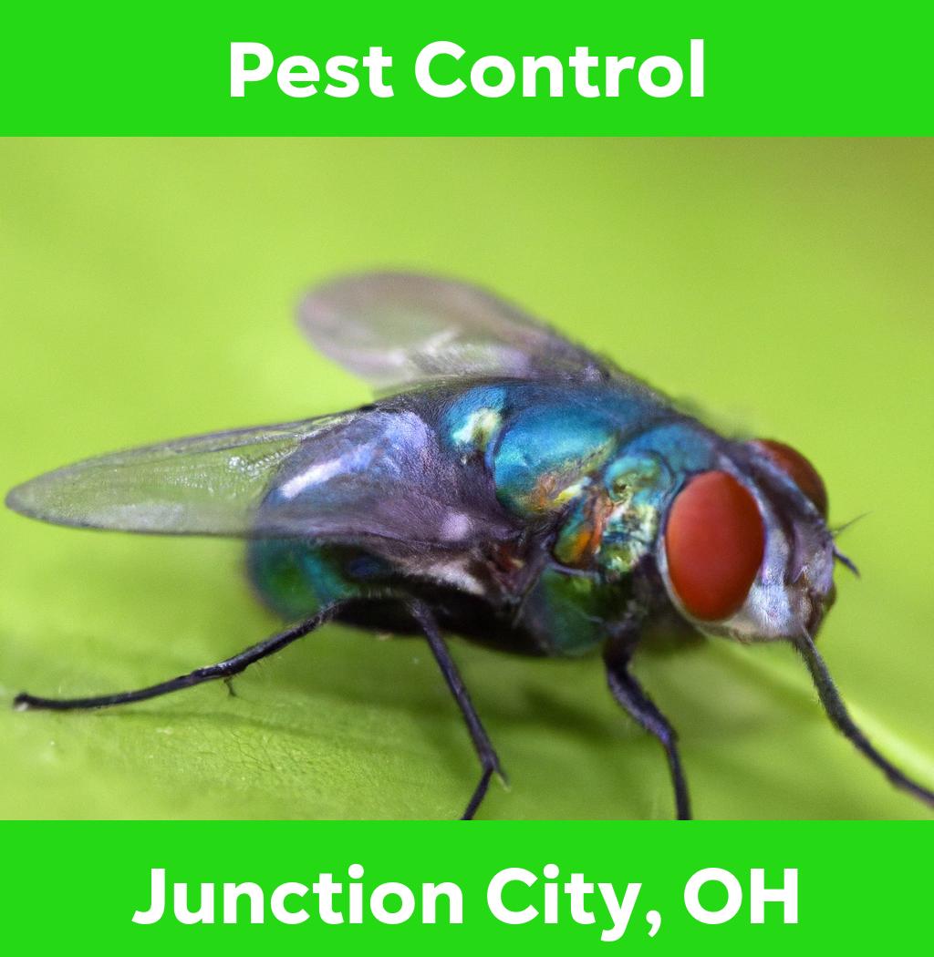 pest control in Junction City Ohio