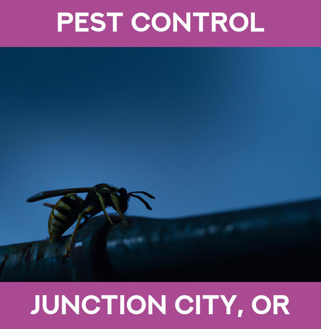 pest control in Junction City Oregon