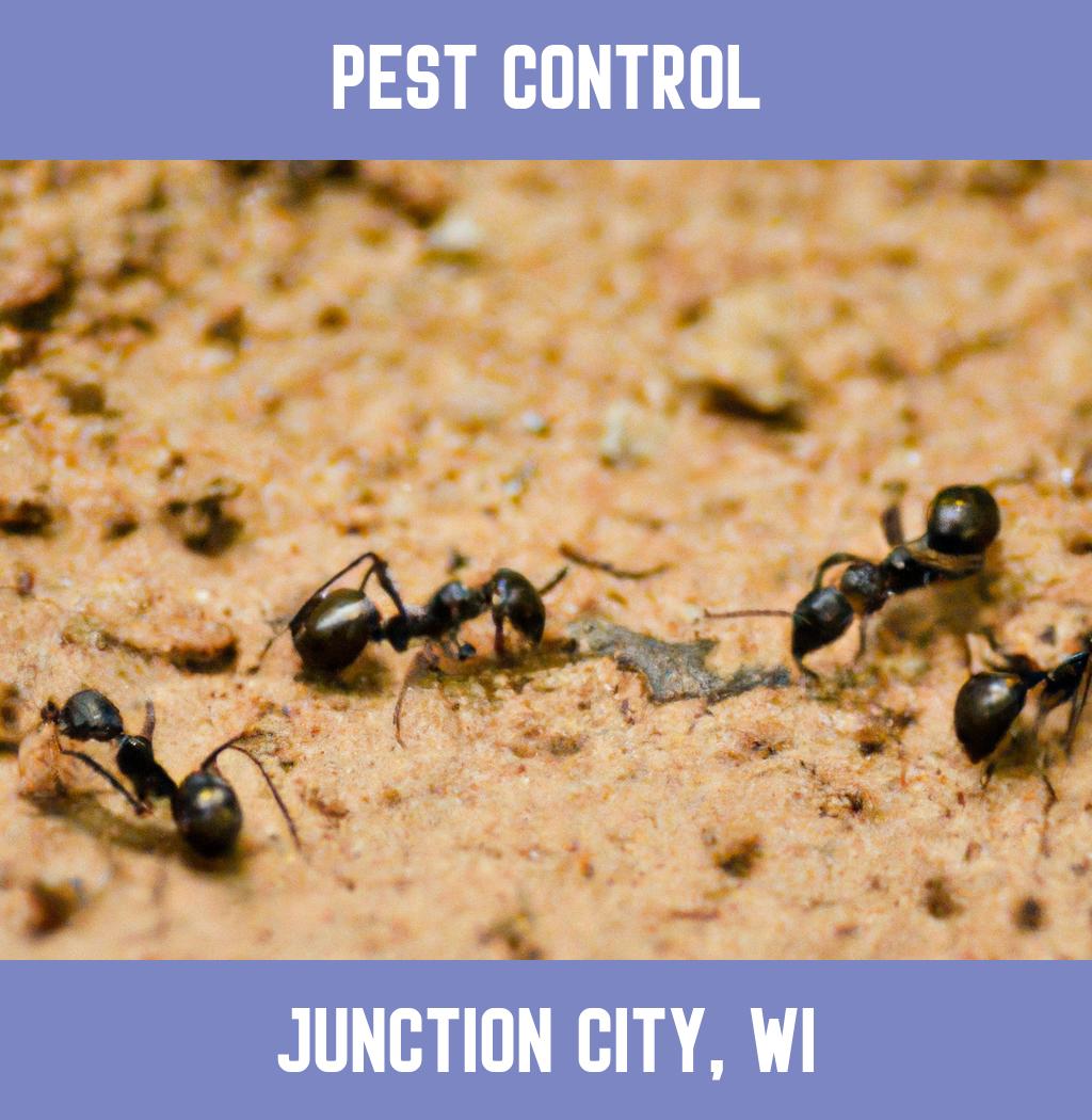 pest control in Junction City Wisconsin