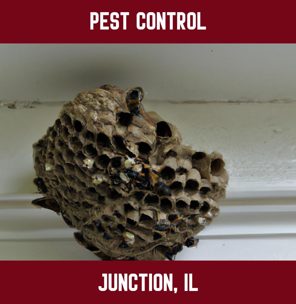 pest control in Junction Illinois