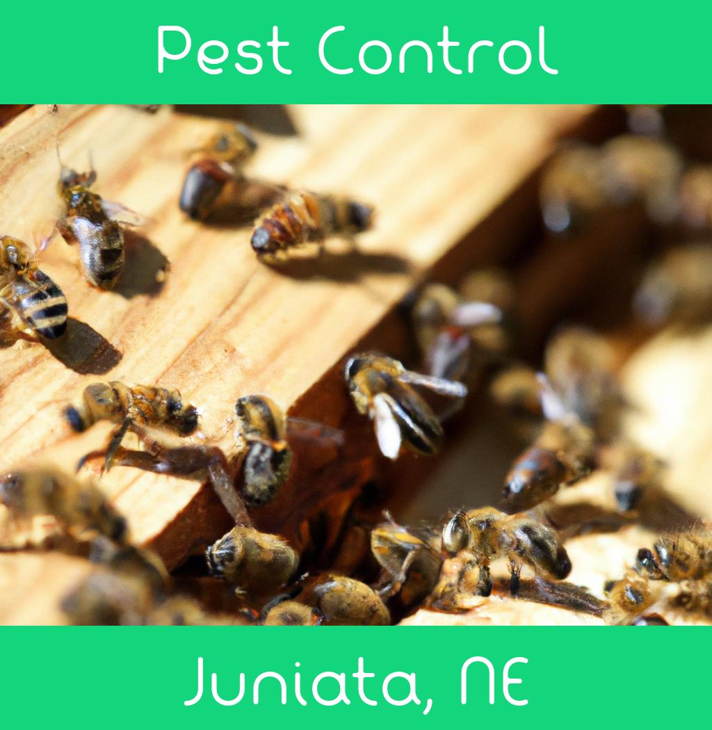 pest control in Juniata Nebraska