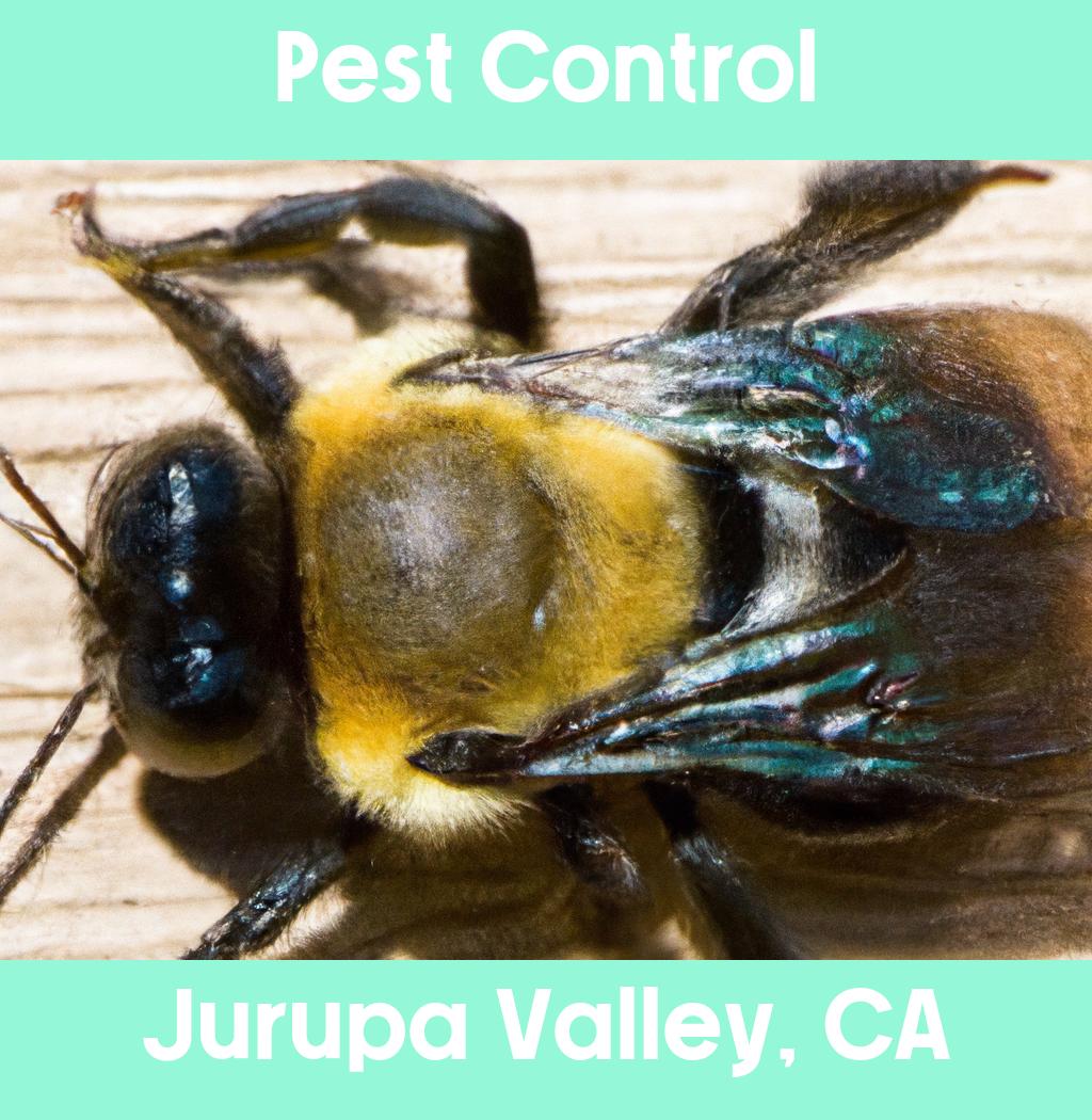 pest control in Jurupa Valley California