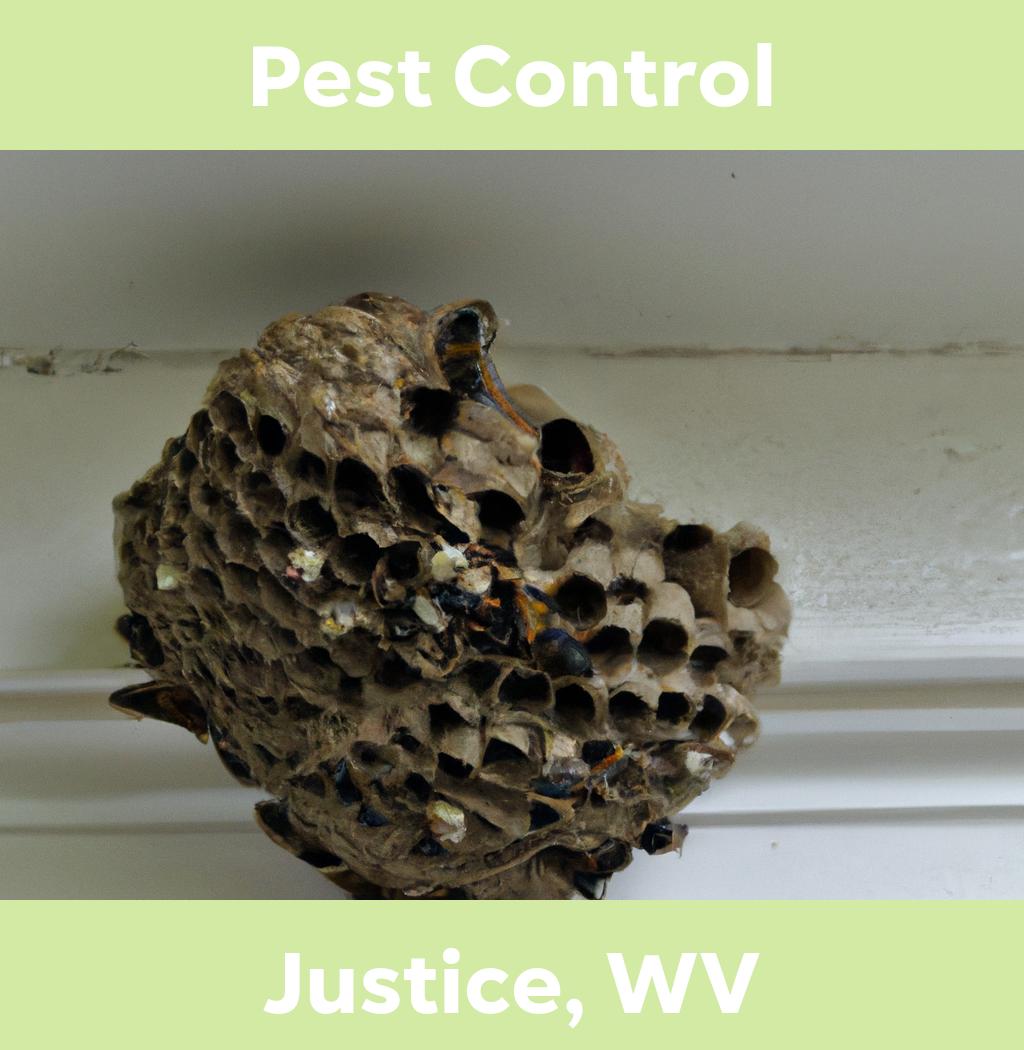 pest control in Justice West Virginia