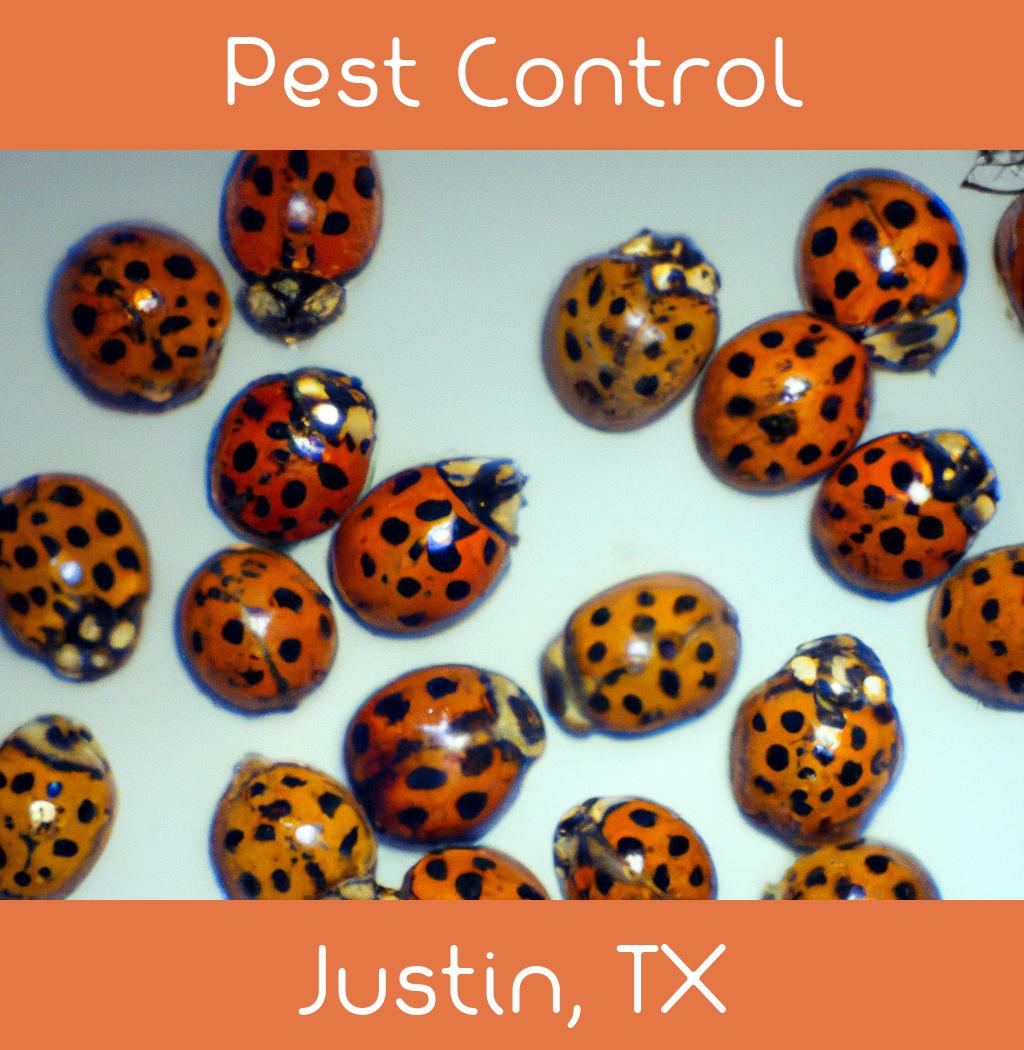 pest control in Justin Texas