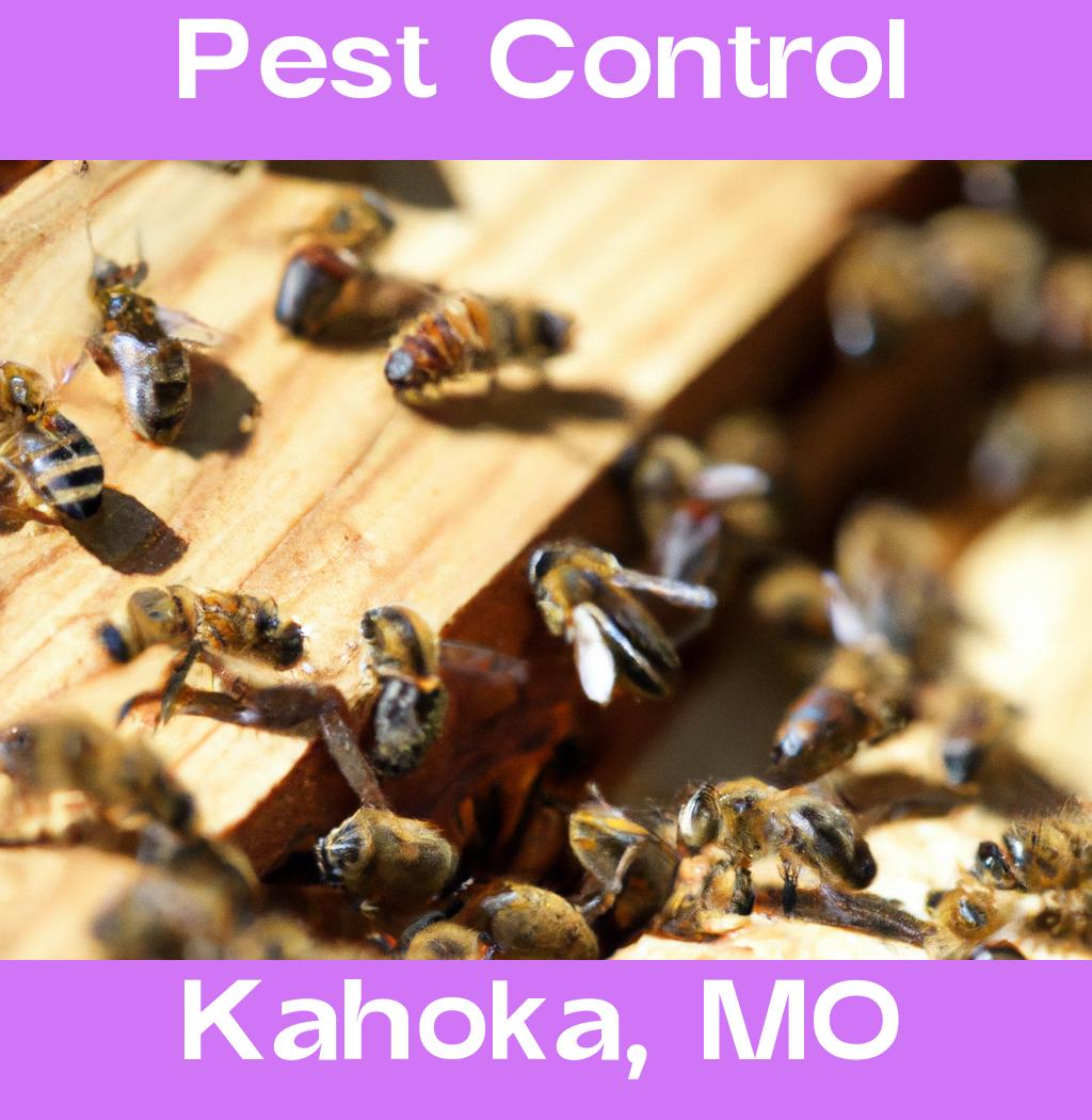 pest control in Kahoka Missouri