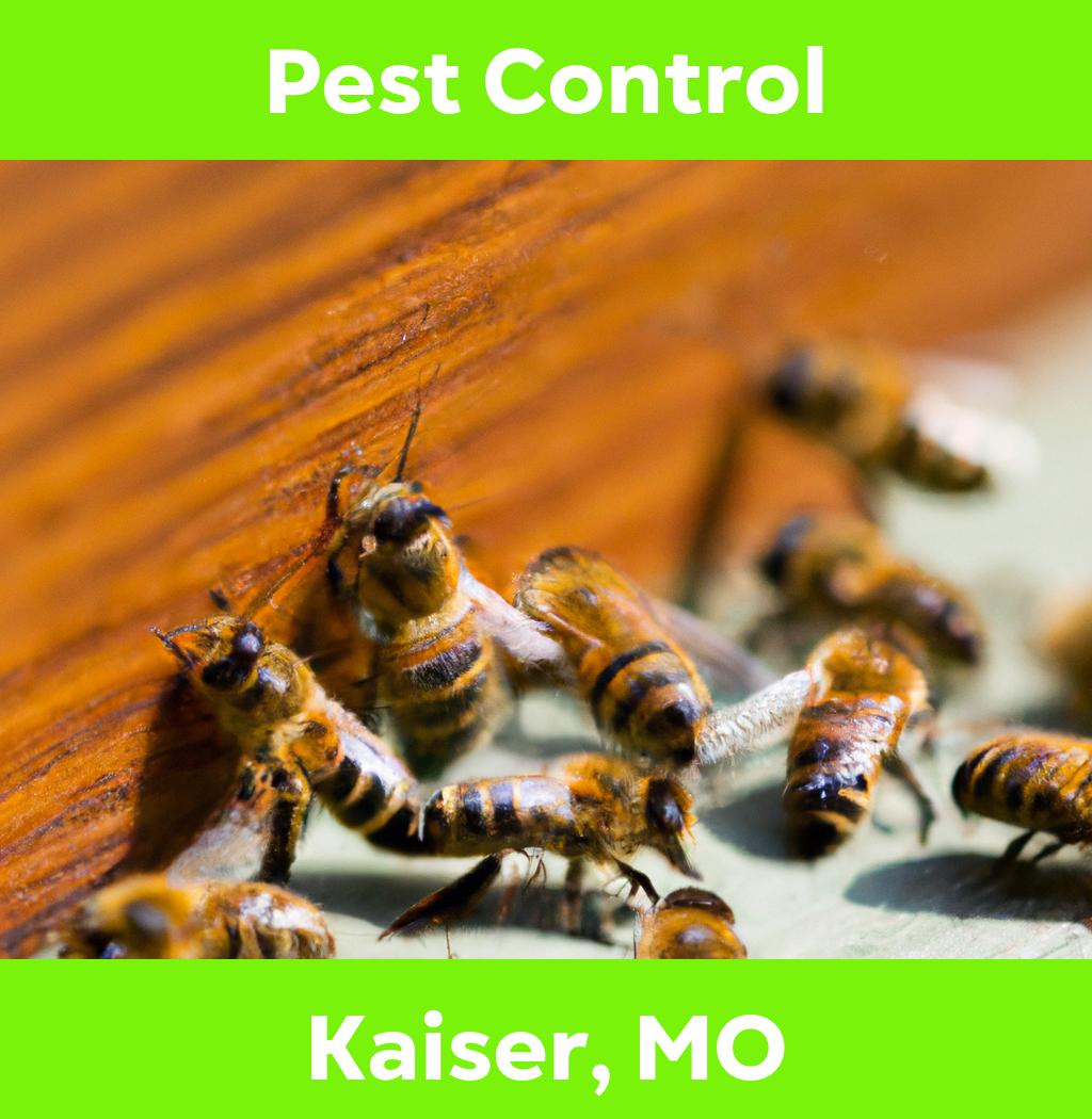 pest control in Kaiser Missouri