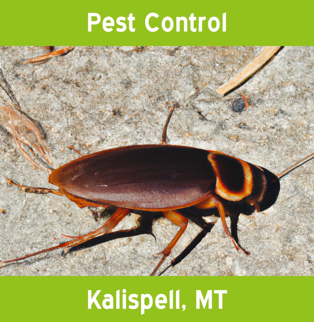 pest control in Kalispell Montana