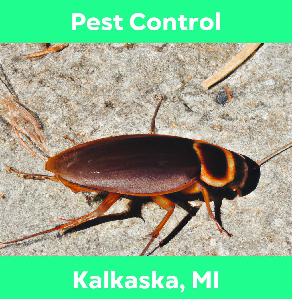 pest control in Kalkaska Michigan