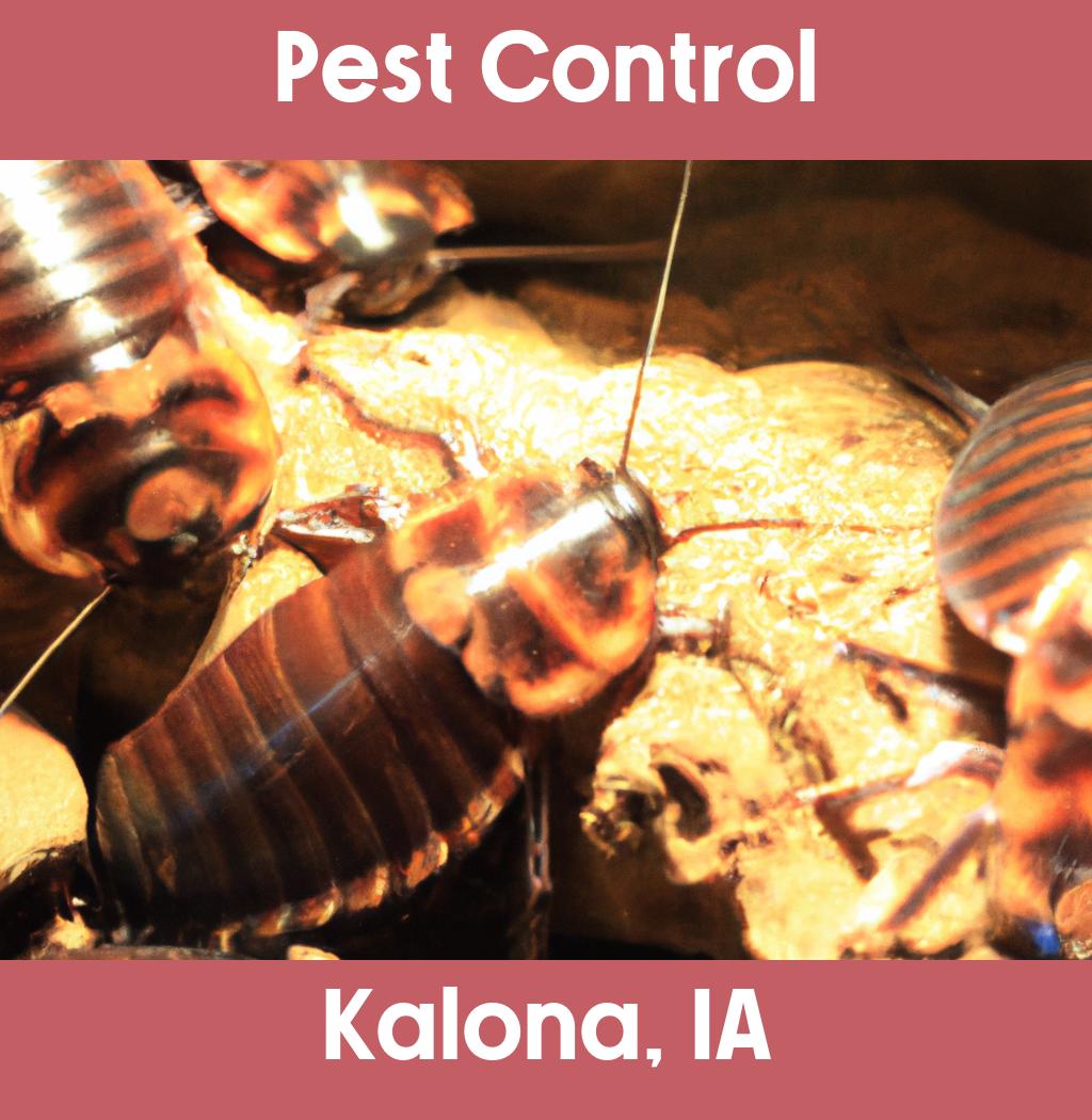 pest control in Kalona Iowa