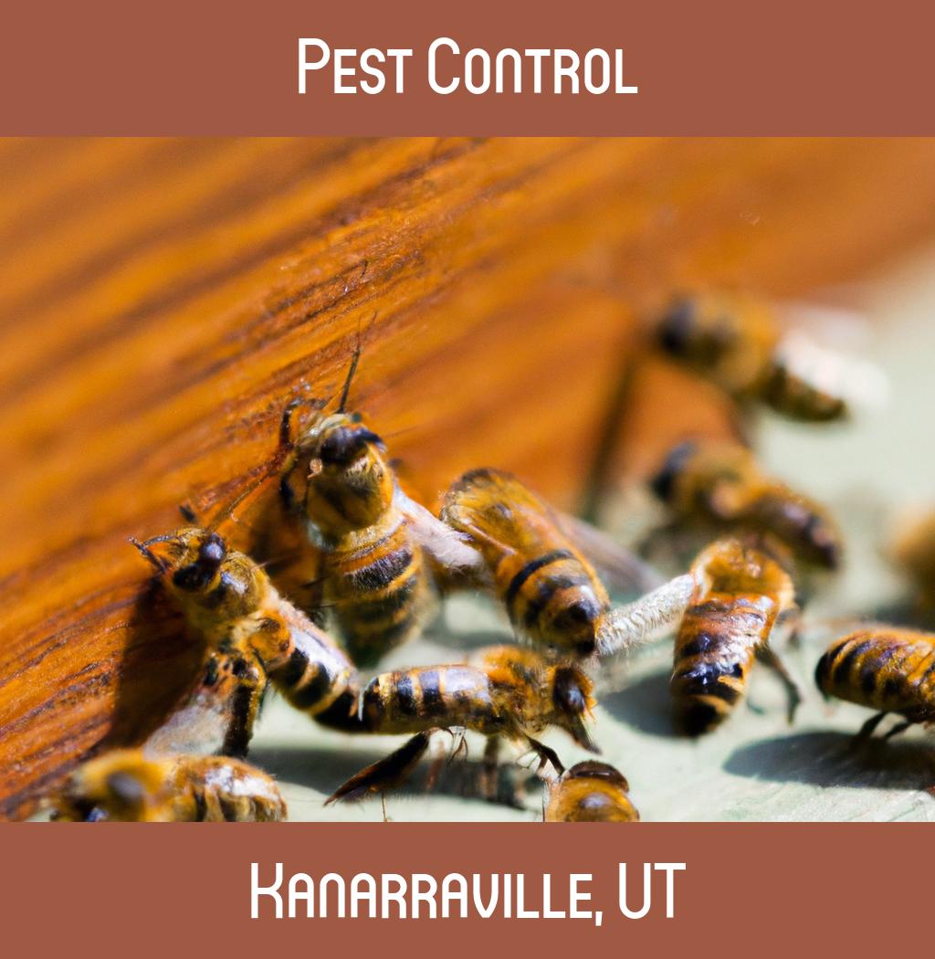 pest control in Kanarraville Utah