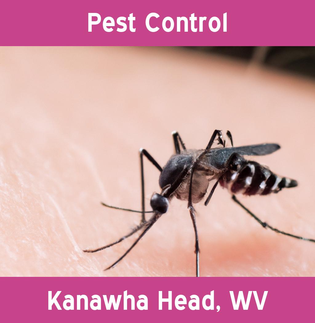 pest control in Kanawha Head West Virginia