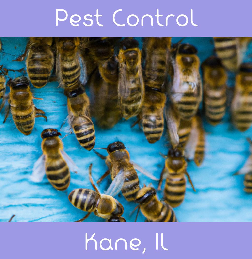 pest control in Kane Illinois