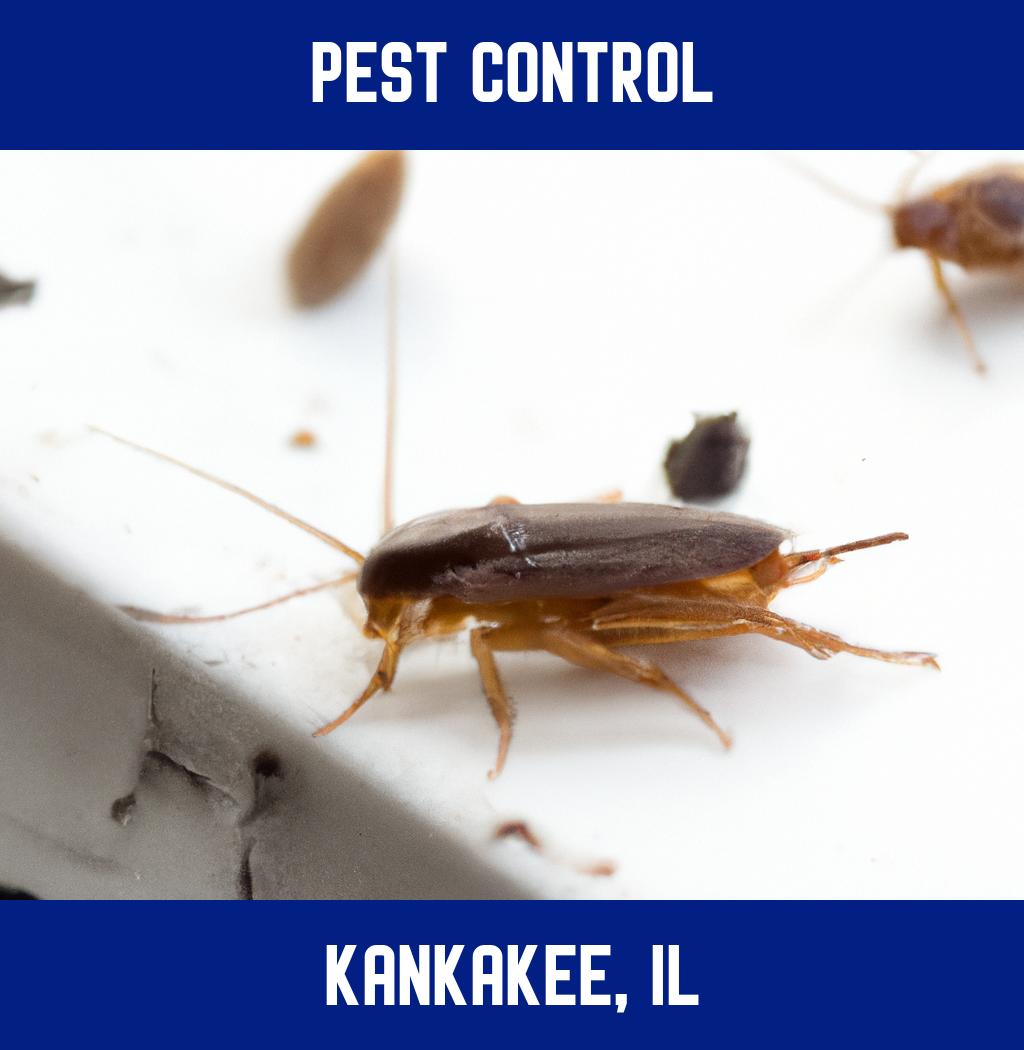 pest control in Kankakee Illinois