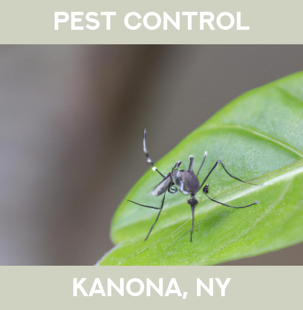 pest control in Kanona New York