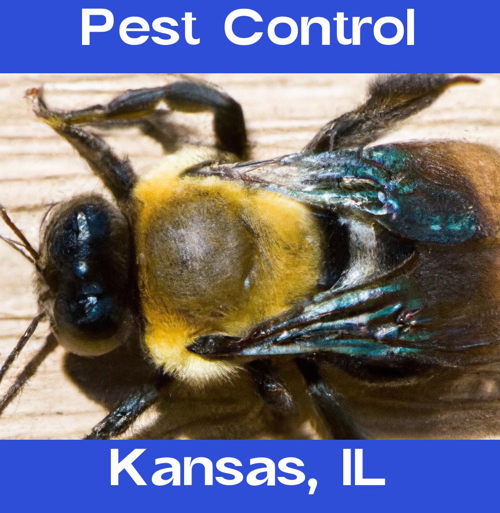 pest control in Kansas Illinois
