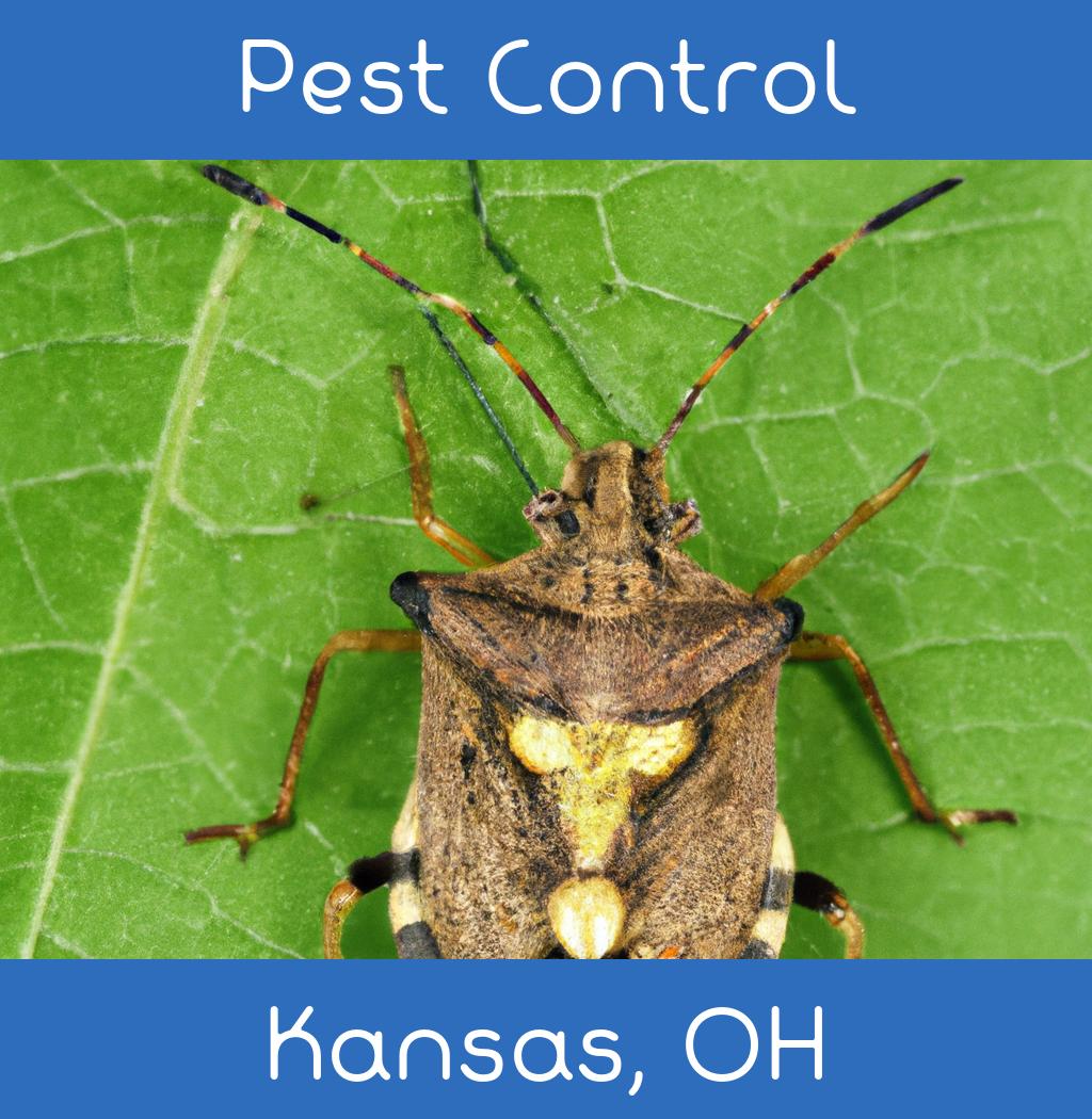 pest control in Kansas Ohio