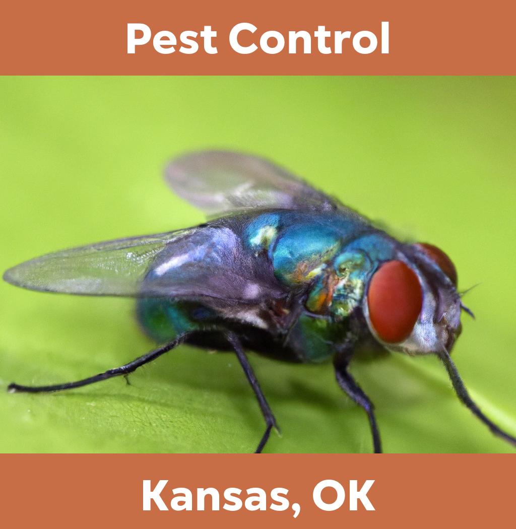 pest control in Kansas Oklahoma