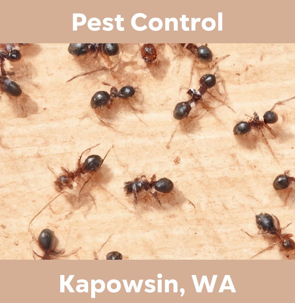 pest control in Kapowsin Washington