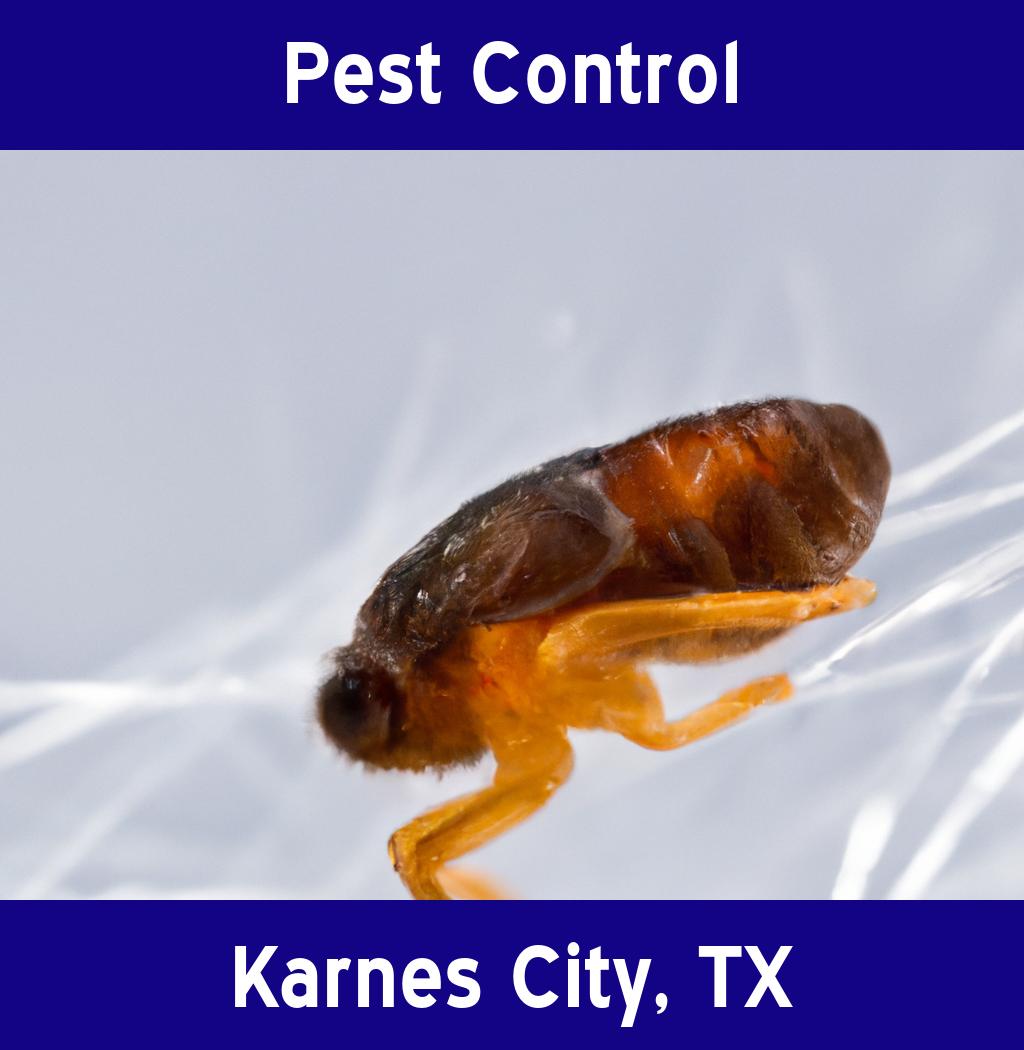pest control in Karnes City Texas