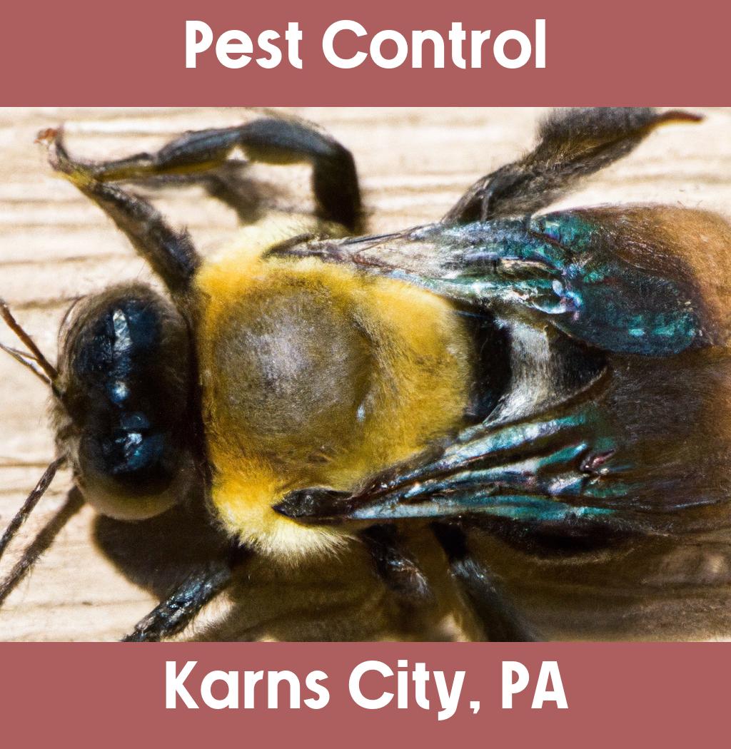 pest control in Karns City Pennsylvania