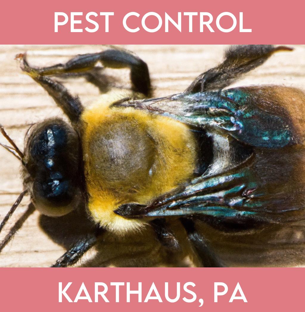 pest control in Karthaus Pennsylvania