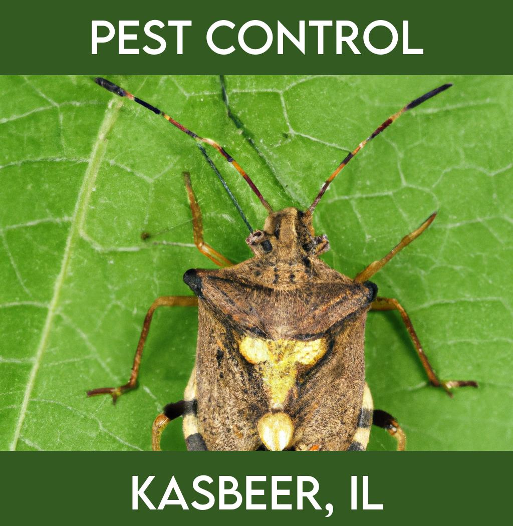 pest control in Kasbeer Illinois