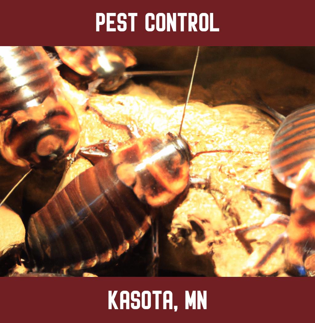 pest control in Kasota Minnesota