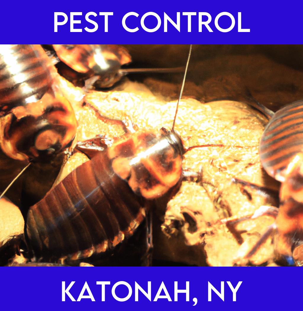 pest control in Katonah New York