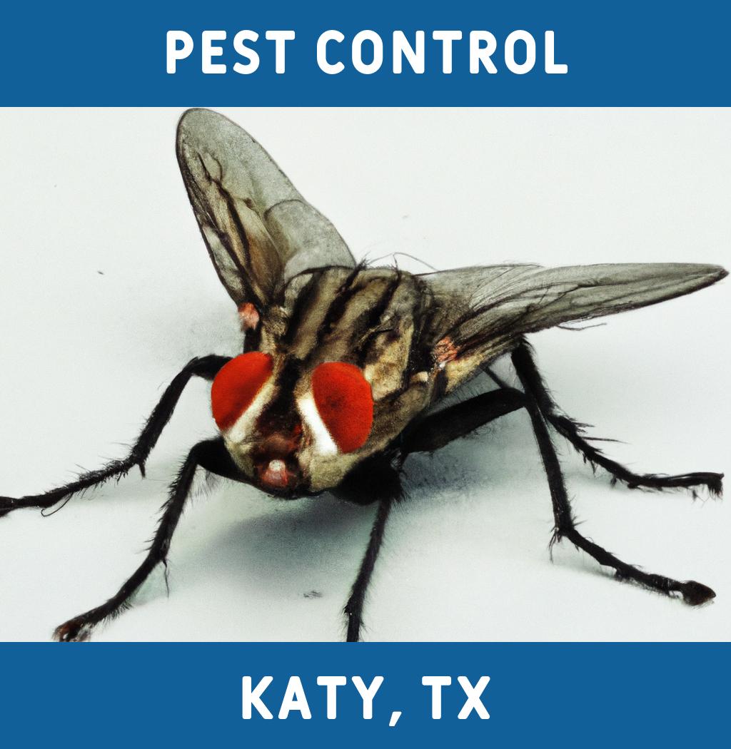 pest control in Katy Texas