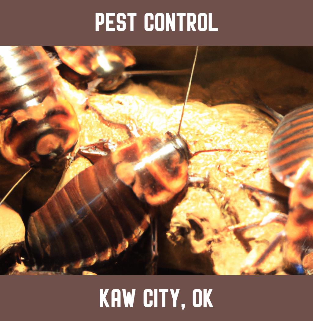 pest control in Kaw City Oklahoma