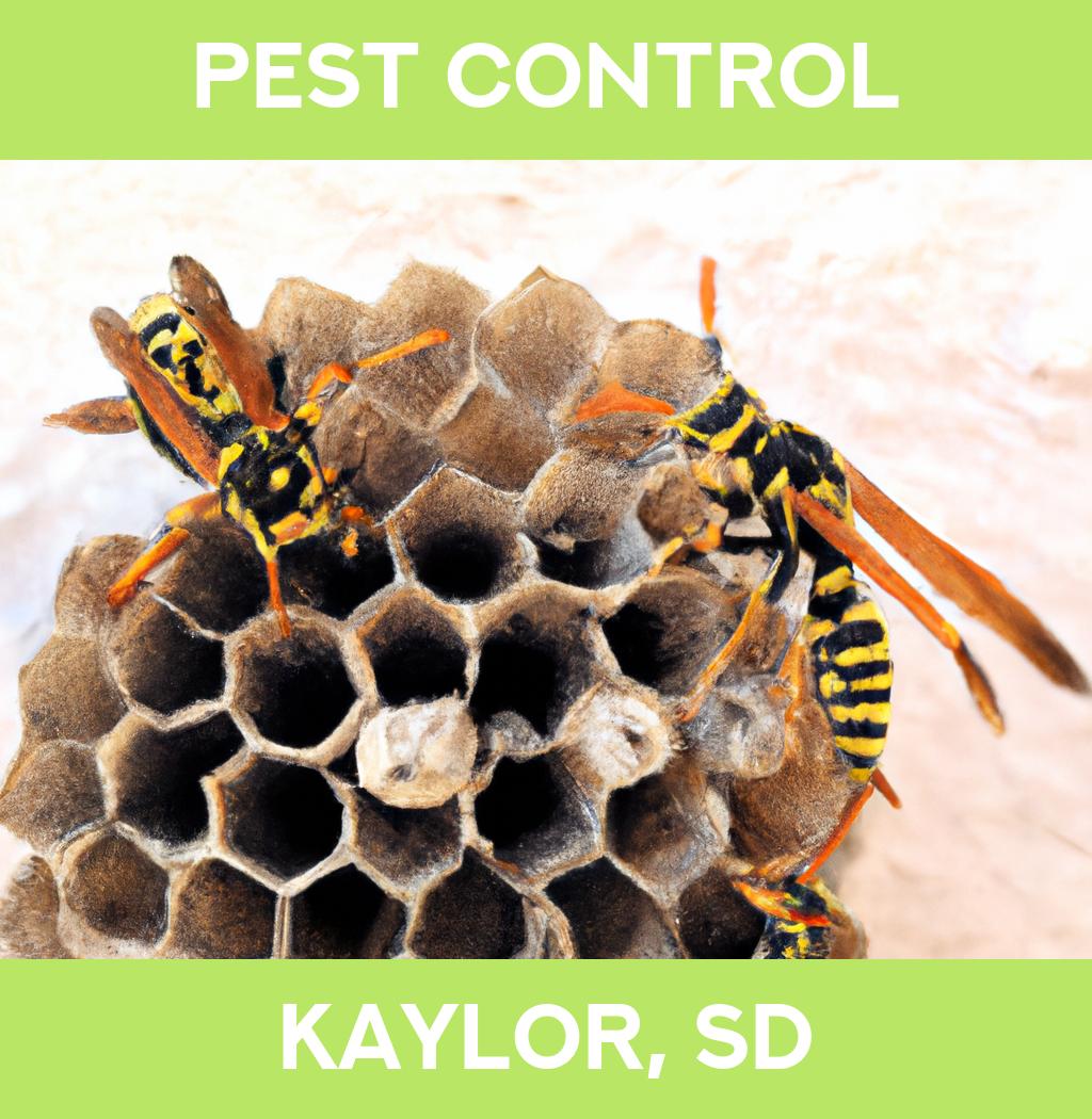 pest control in Kaylor South Dakota