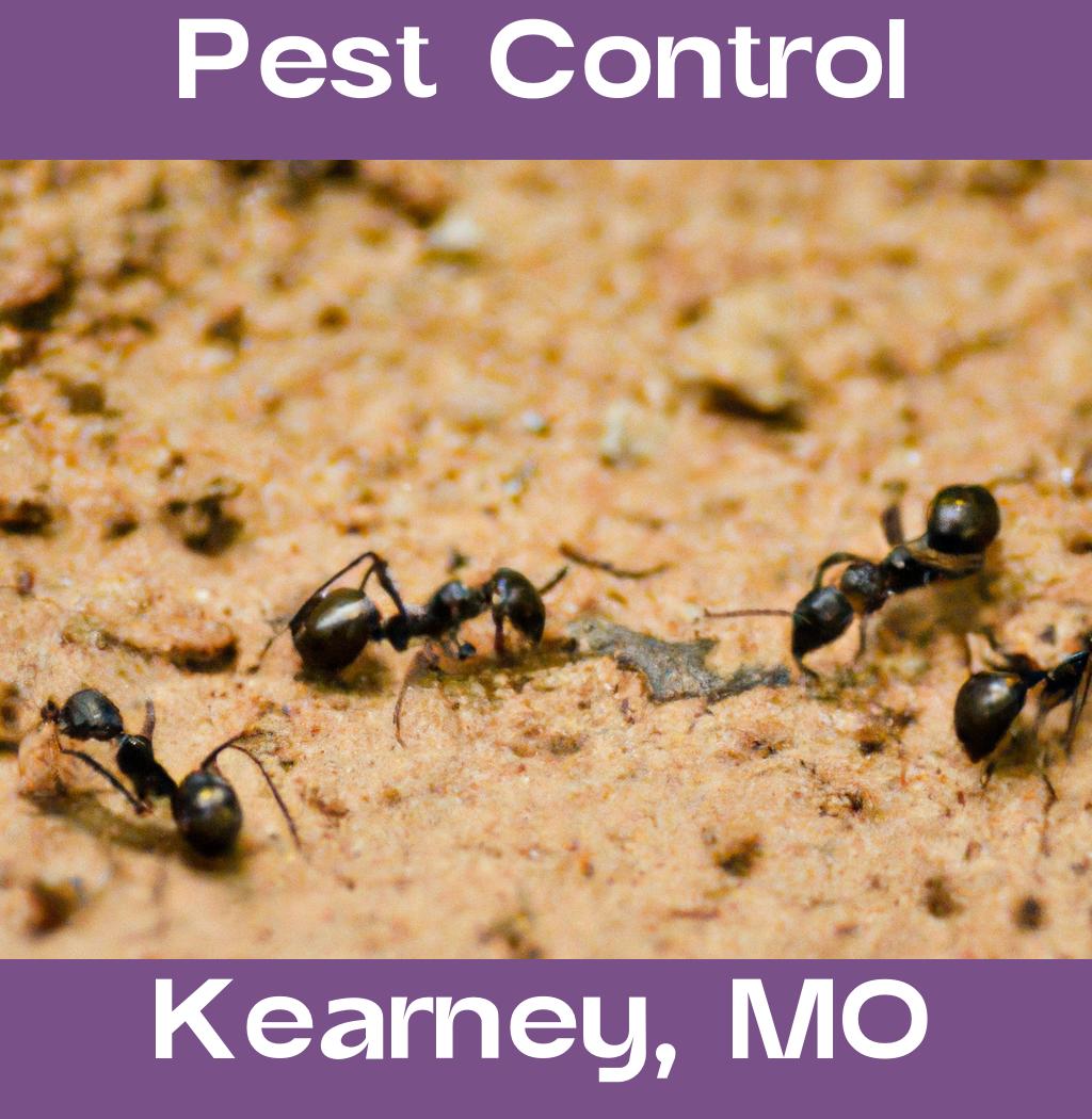 pest control in Kearney Missouri
