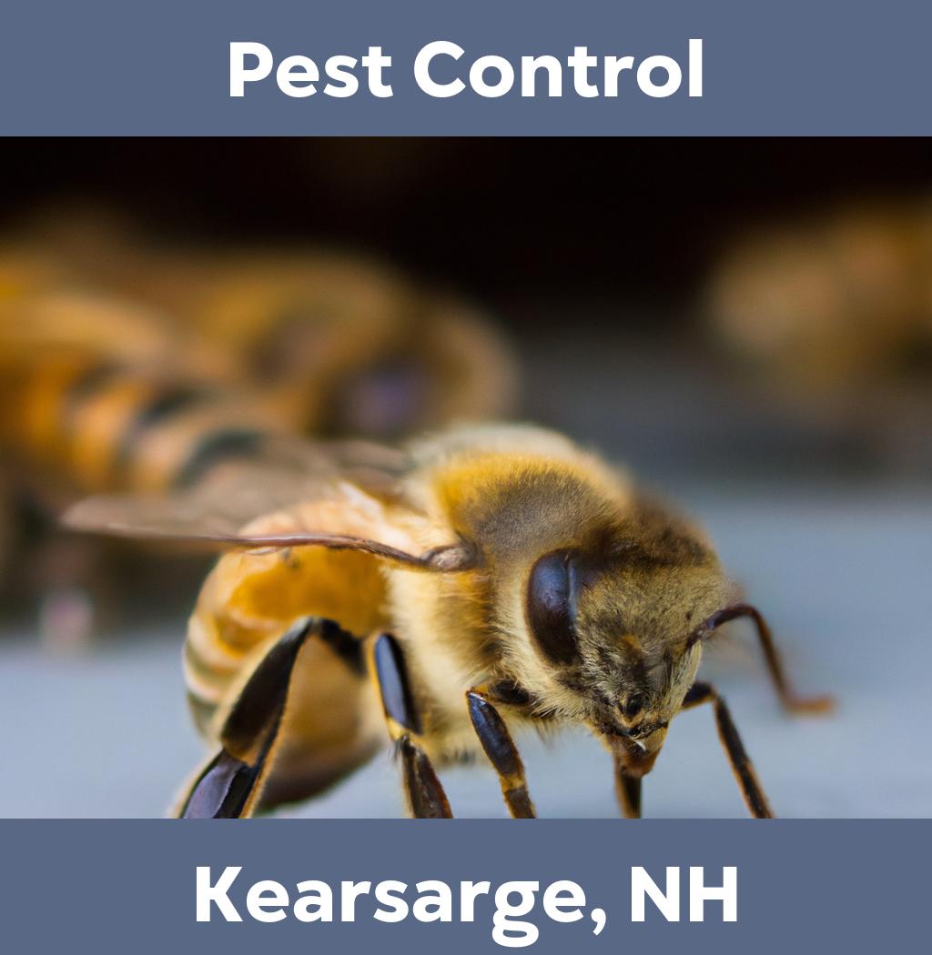 pest control in Kearsarge New Hampshire