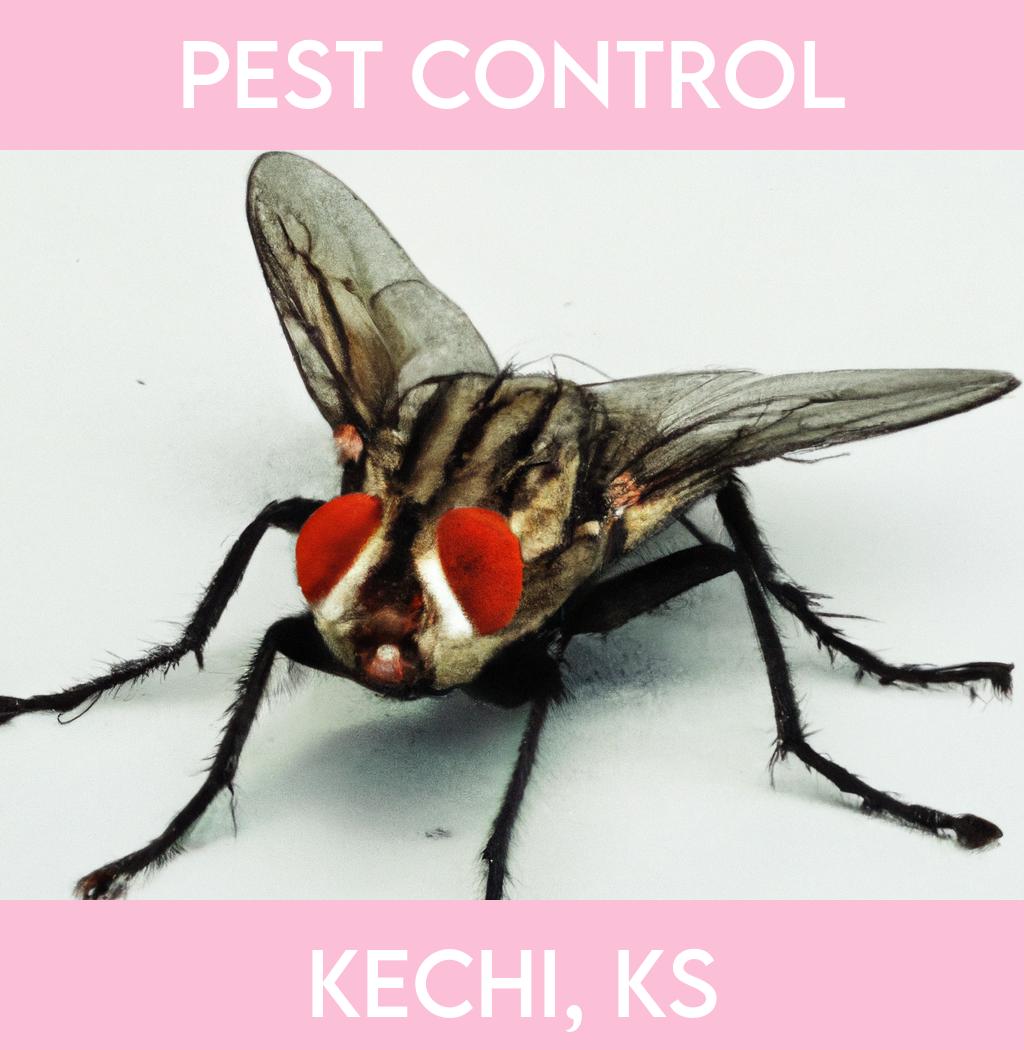 pest control in Kechi Kansas