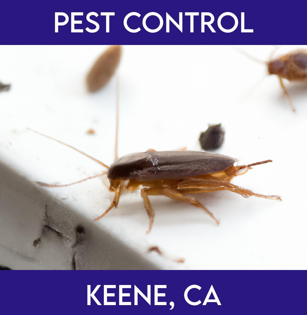 pest control in Keene California
