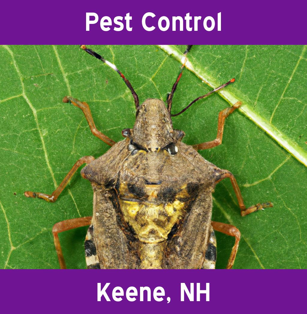 pest control in Keene New Hampshire