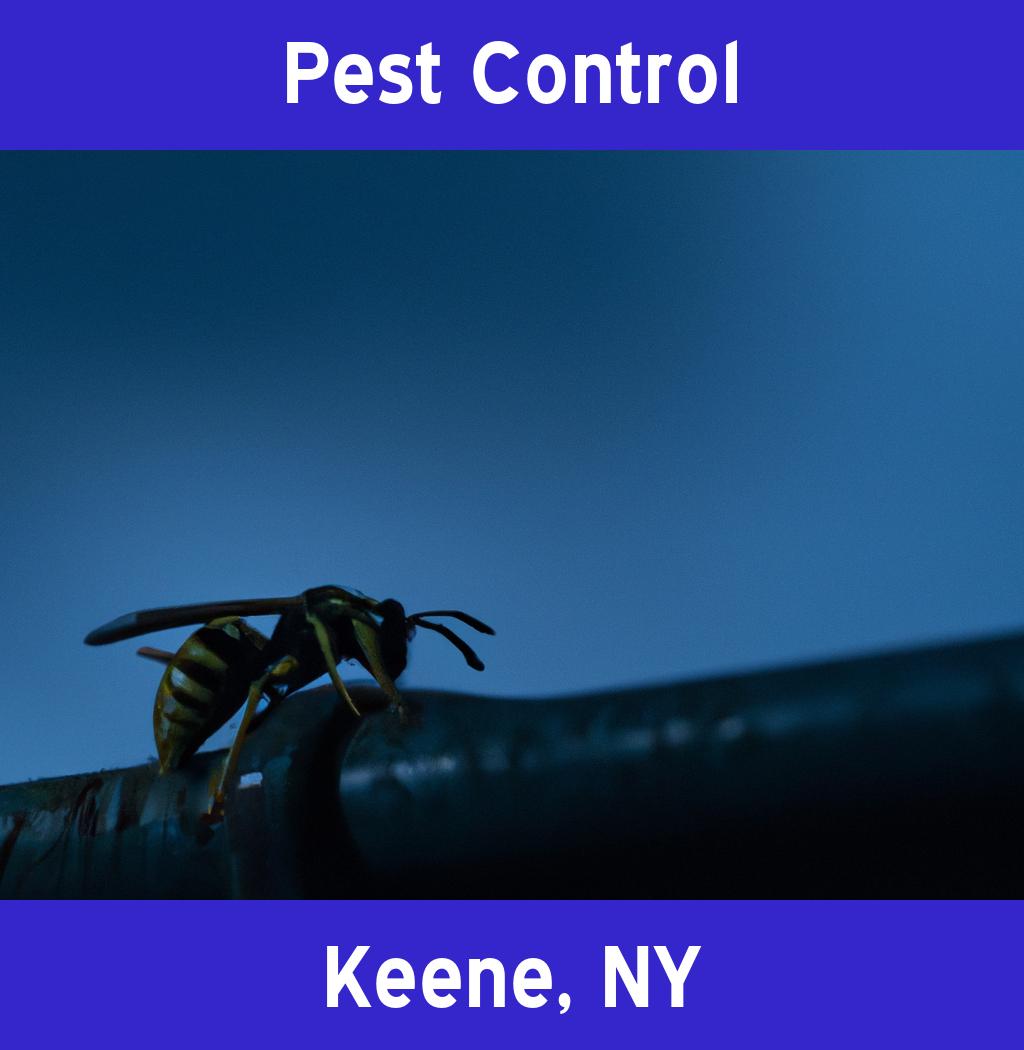 pest control in Keene New York