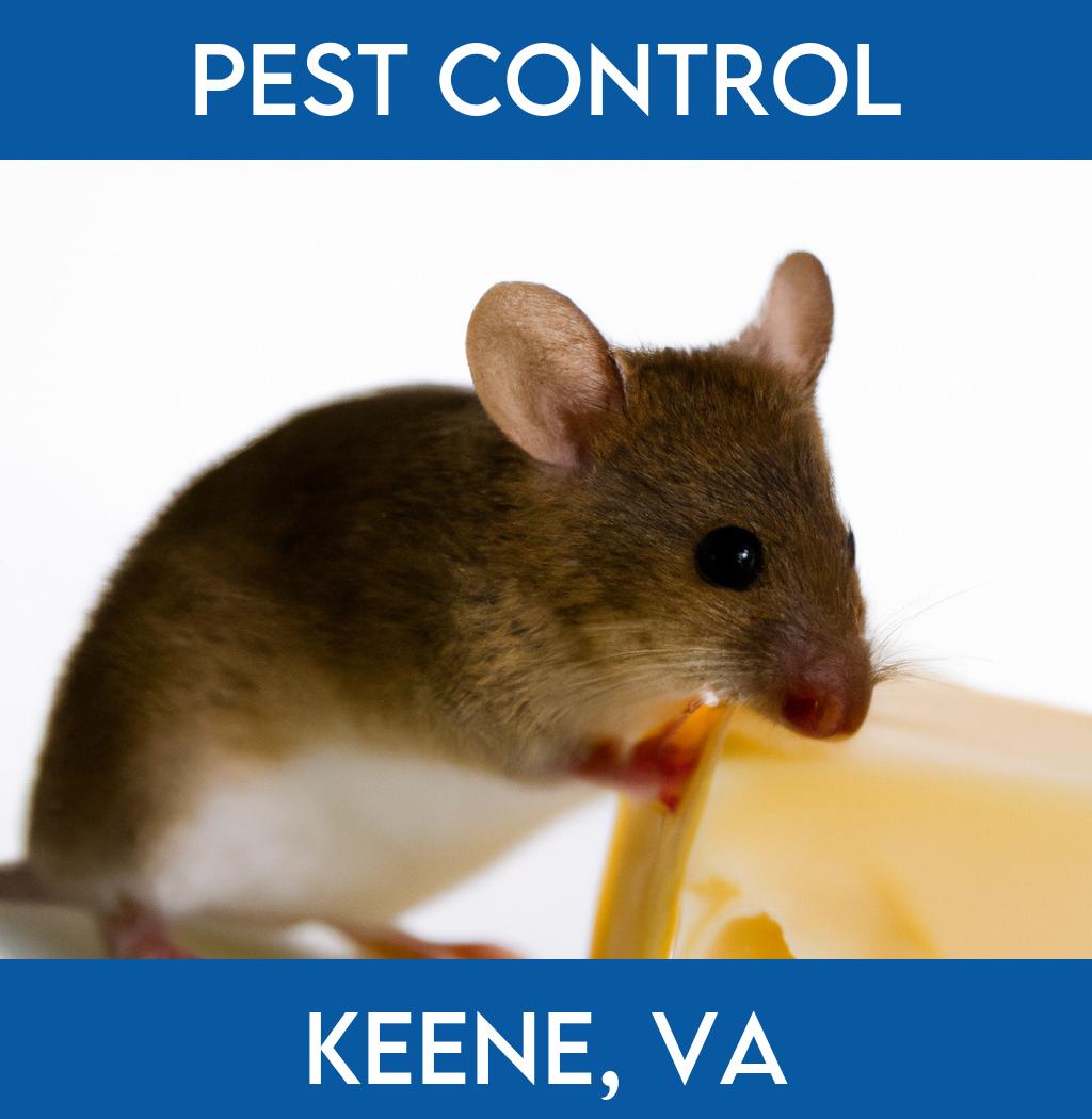 pest control in Keene Virginia