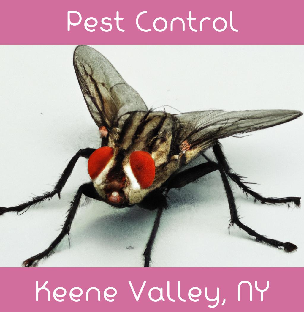 pest control in Keene Valley New York