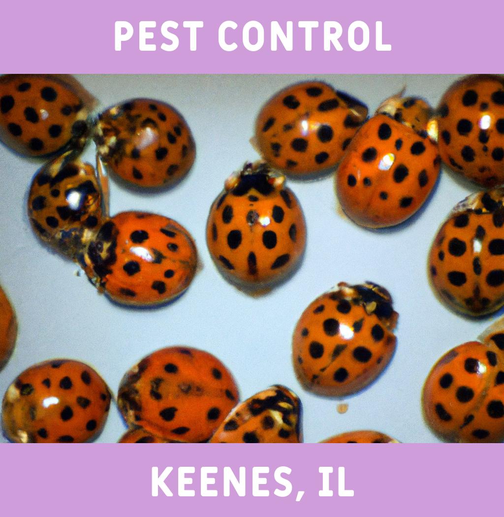 pest control in Keenes Illinois