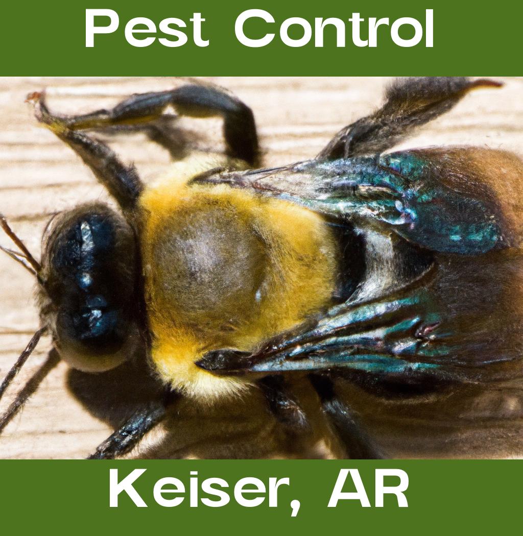 pest control in Keiser Arkansas