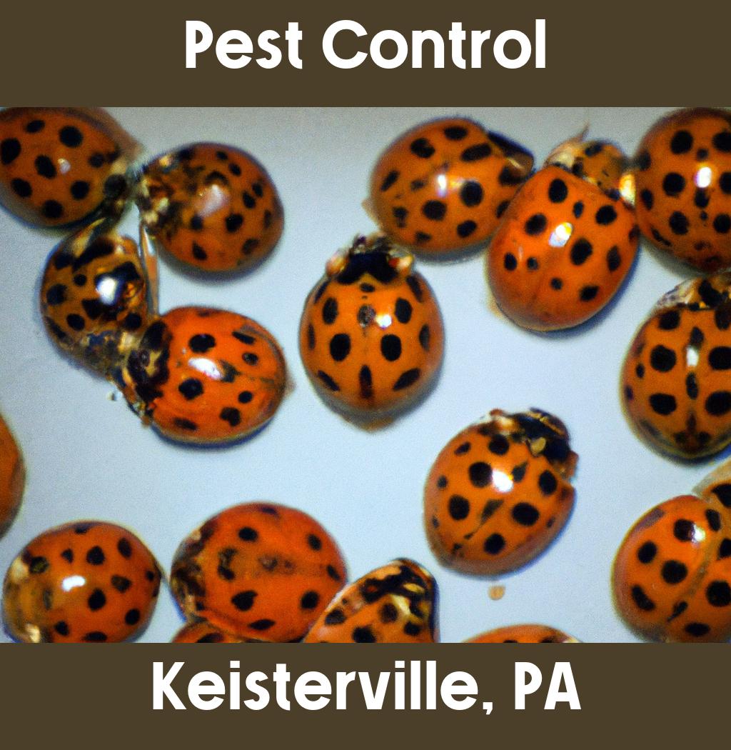 pest control in Keisterville Pennsylvania