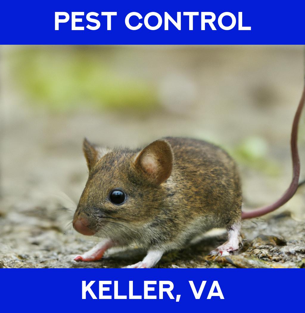 pest control in Keller Virginia