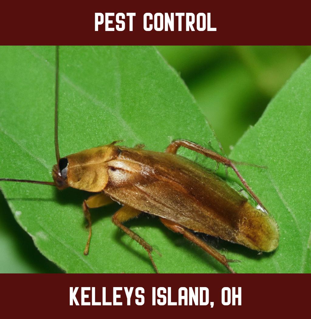 pest control in Kelleys Island Ohio