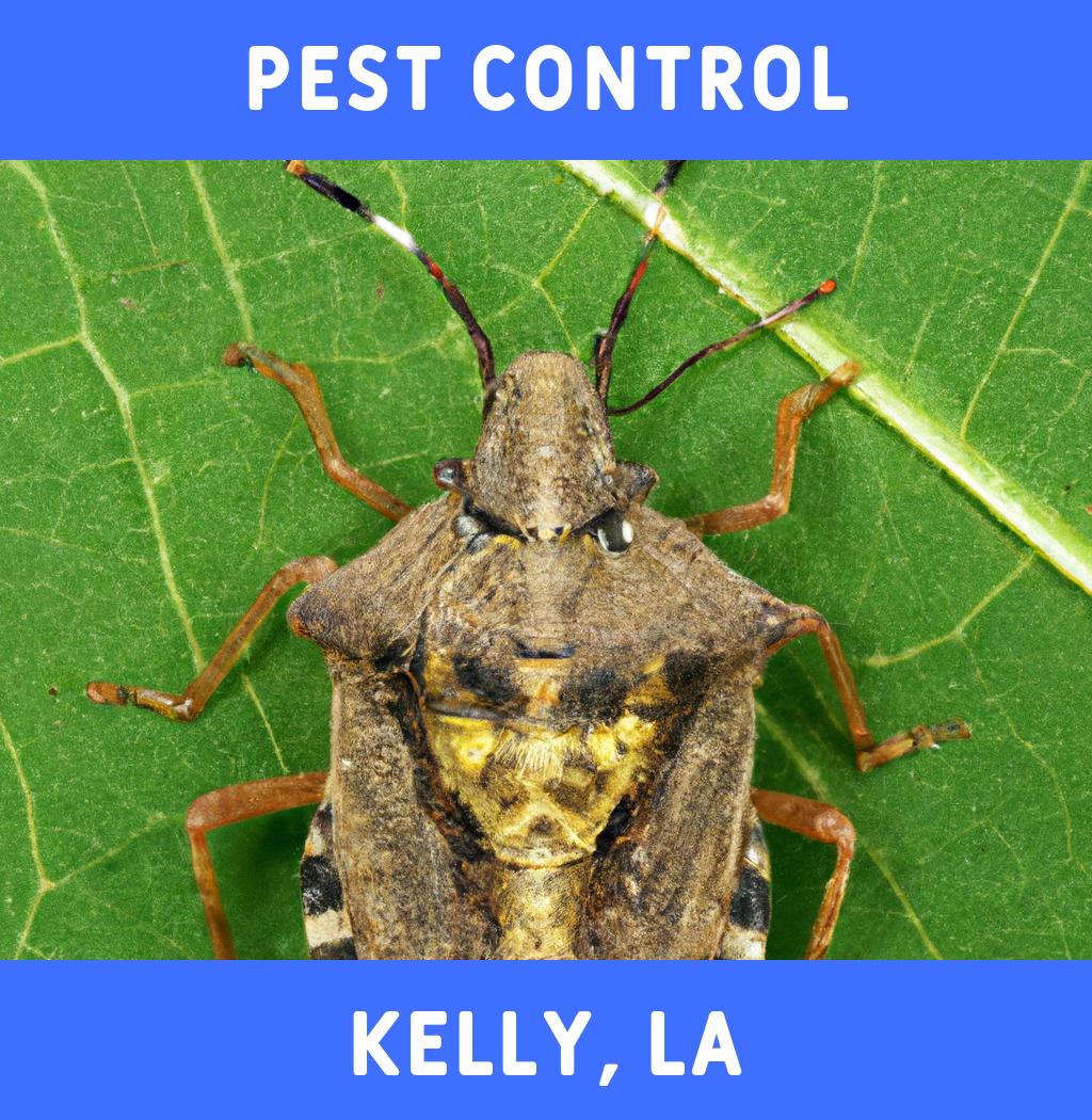 pest control in Kelly Louisiana