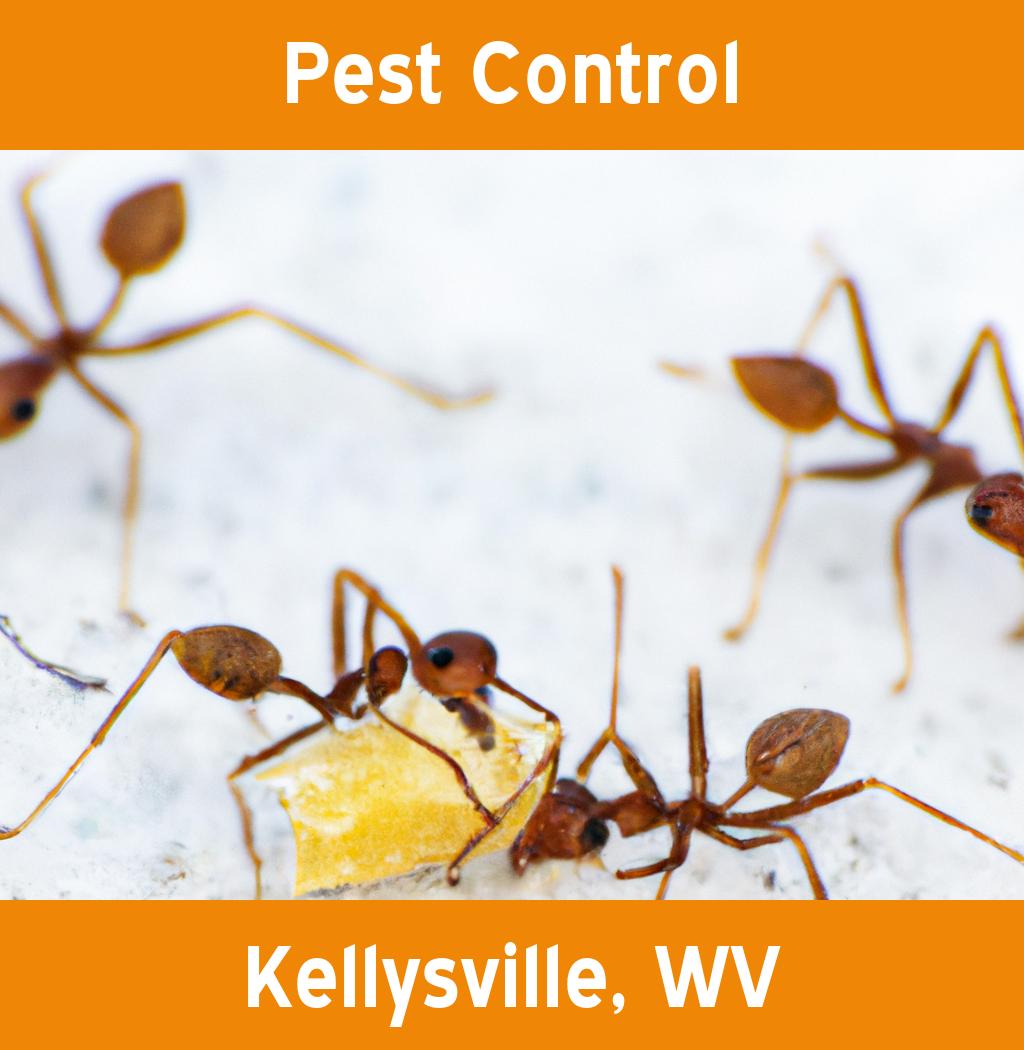 pest control in Kellysville West Virginia