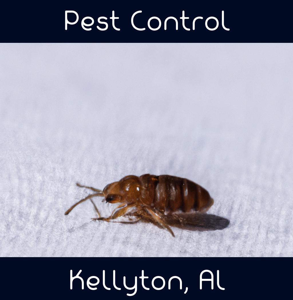 pest control in Kellyton Alabama