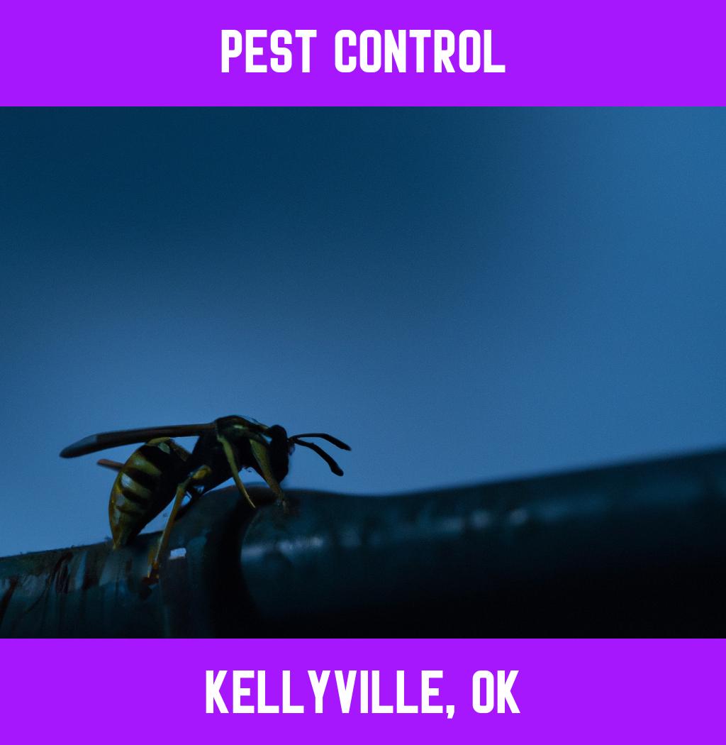 pest control in Kellyville Oklahoma