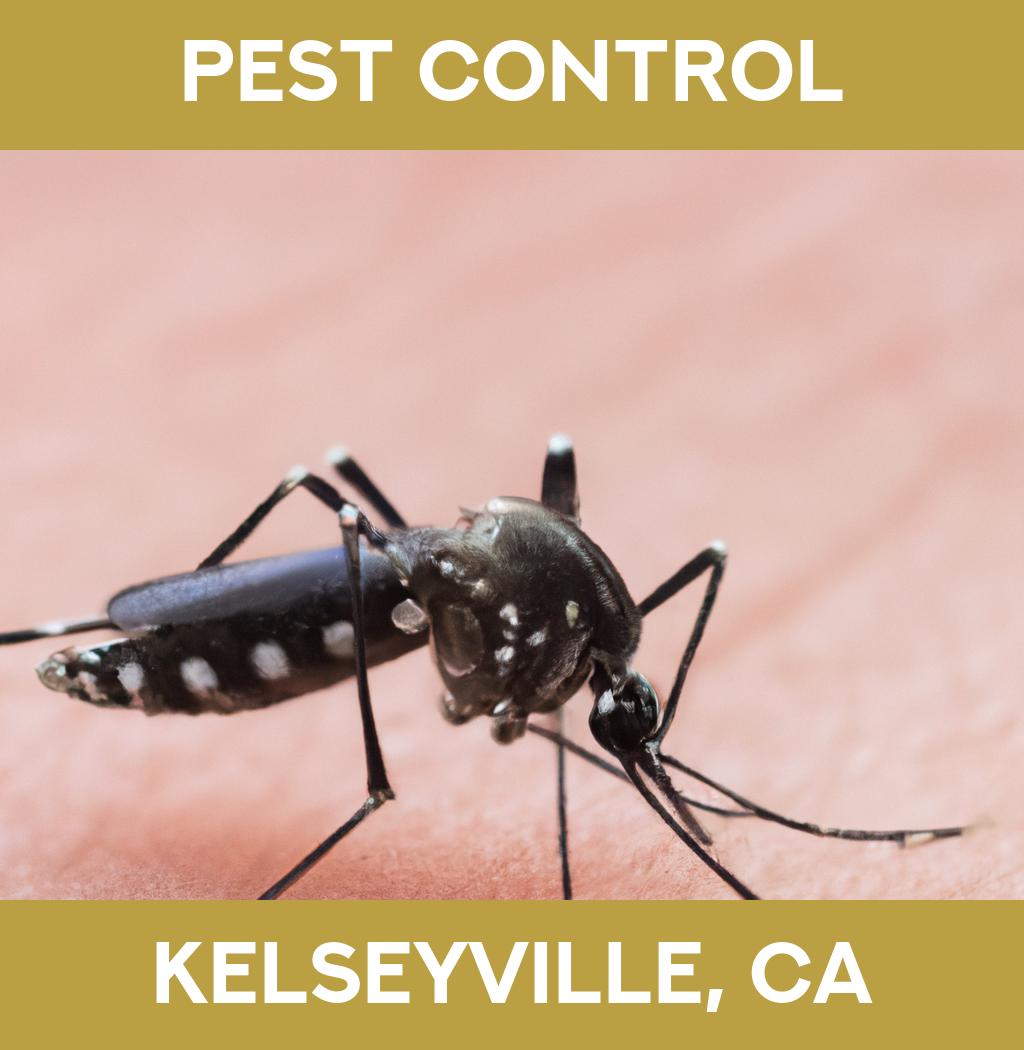 pest control in Kelseyville California