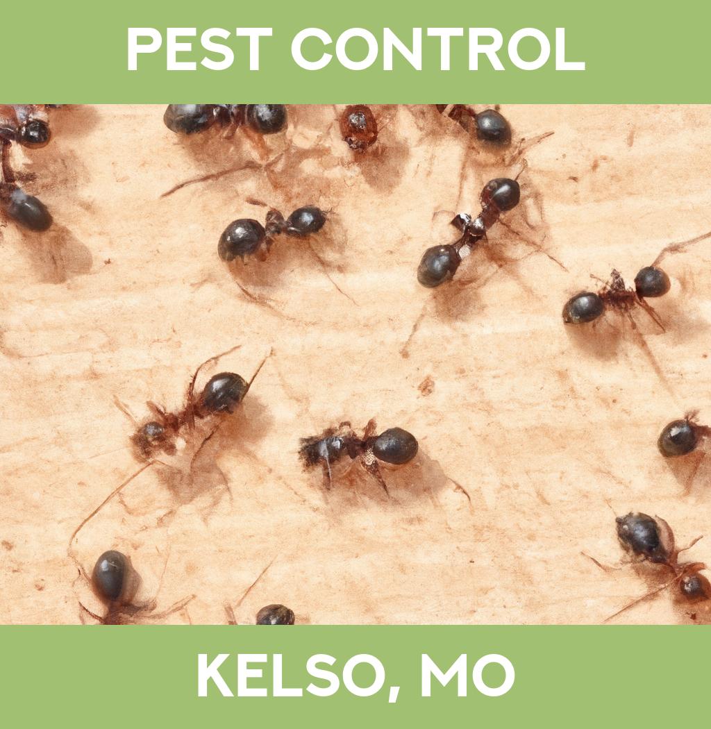 pest control in Kelso Missouri